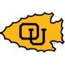 DT Image